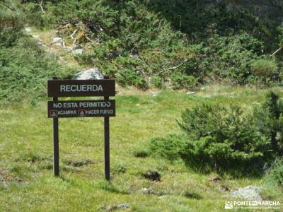 Tejos Rascafría-Valhondillo o Barondillo;agencias de viajes especializadas valle de iruelas rutas d